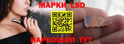 шишки Абакан