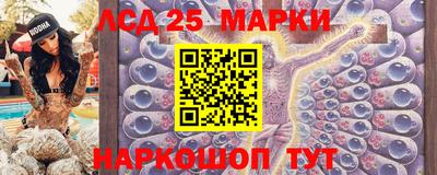 шишки Абакан