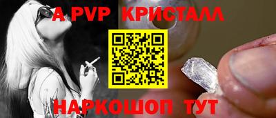 шишки Абакан
