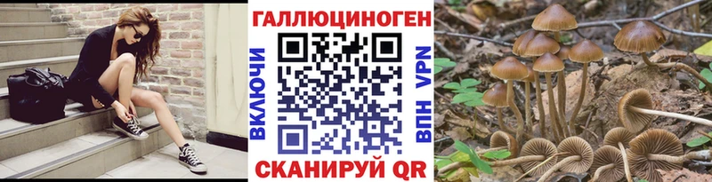 Галлюциногенные грибы Cubensis  Балабаново 