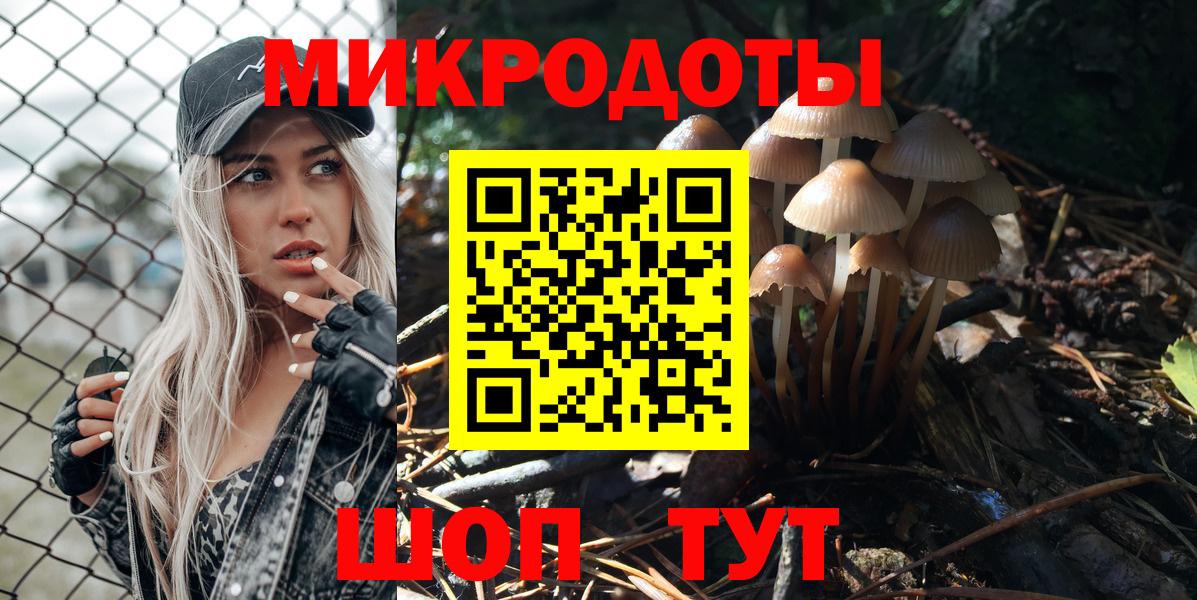 Галлюциногенные грибы Cubensis Балабаново