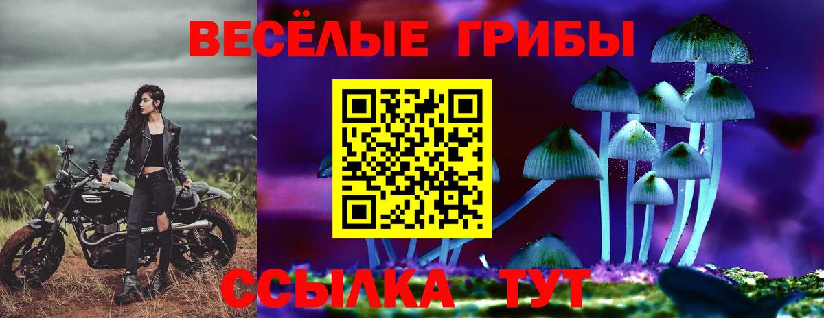 Балабаново  Псилоцибиновые грибы Psilocybine cubensis  Вход с VPN 